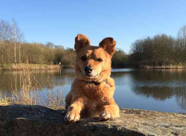 Juli enjoying a rest, whilst walking in Scotland.