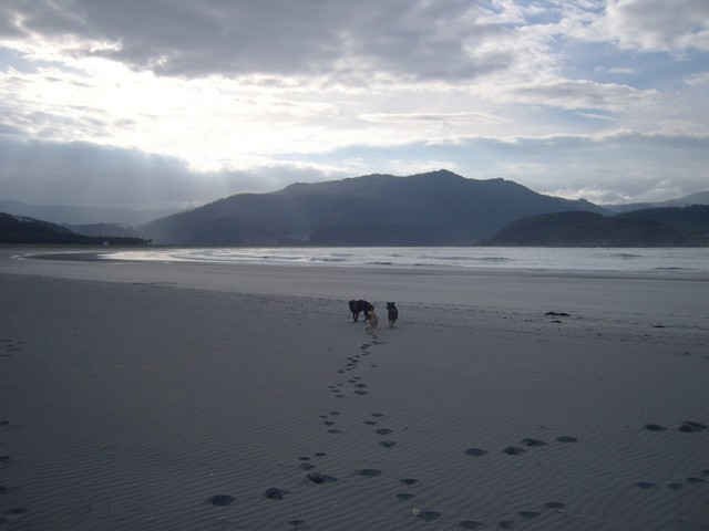 Three new-found friends playing on the beach in Galicia, northern Spain.