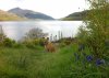 Juli posing beside Loch Lomond, Scotland.