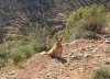 Juli enjoying a well-deserved walk on the Sierra de Mijas, in S.Spain.