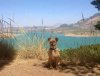 Juli sitting in the welcome shade, beside a lake in Málaga, Spain.