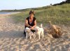 Den with Molly, Grey .. & Juli frantically digging .. on the beach at Rosslare, enjoying some fresh air after their ferry crossing from Fishguard, on their journey from Spain to Ireland.