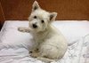 'Is it time to get up?' asks Coco, in the hotel in northern Spain, on her journey from Málaga to Surrey.