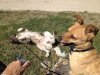 Freddie enjoys a roll in the grass, after a roll in the stream, on his journey from Andover, Hants to Alhaurín el Grande, Málaga. (Juli doesn't like getting wet or dirty!)