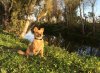 Juli 'posing' beside the Fuengirola River, in southern Spain.