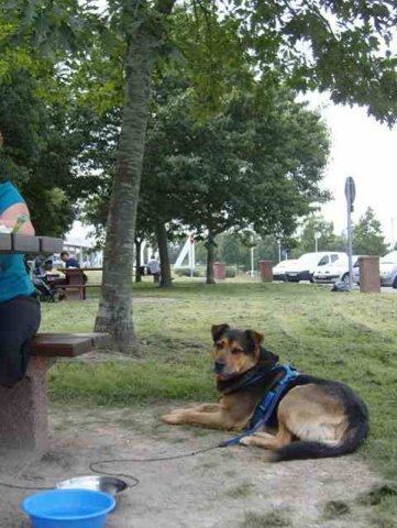 Big Rocky enjoying a lunch-break in France, on his way from Gandia in Spain to his new home in Pevensey Bay.