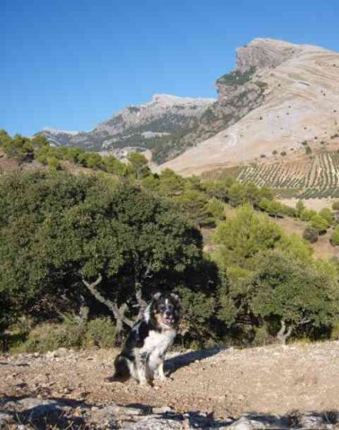 Mac enjoying the scenery in Cazorla Natural Park, Southern Spain.