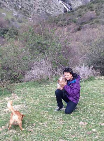 Little Rocky and Den getting close - while Juli plays with a stone! On Rocky's journey from Benalmádena in S.Spain to Nottingham.