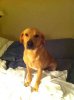 George, getting ready for bed, in the hotel in Pancorbo, N.Spain, on his journey from Leicester to Toledo.