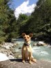 Juli sitting beside a stream near Mont Blanc in France.