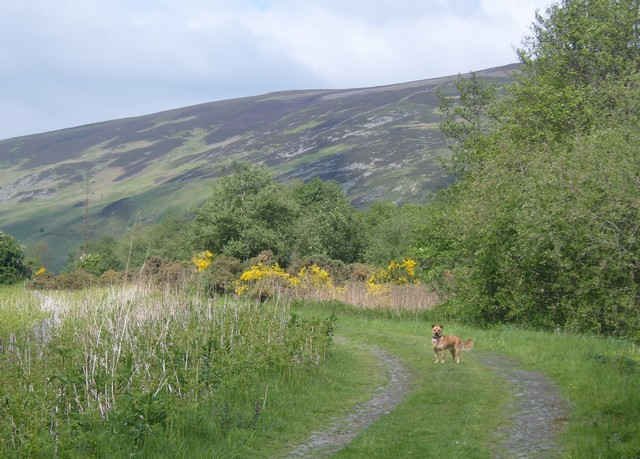 Julio taking a stroll, south of Edinburgh.