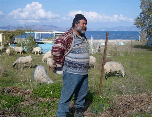 A shepherd watching his flock - on the Island of Kos.