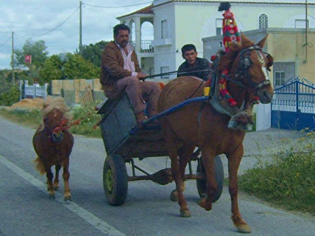 Gypsies on the Algarve in S.Portugal.