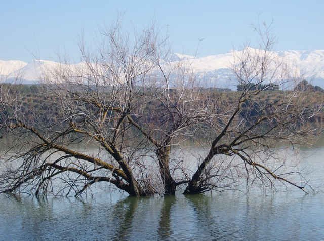 A wintry scene near Granada in southern Spain, with the Sierra Nevada in the background.