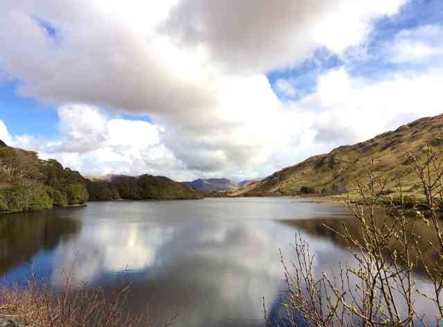 A pretty lake near Connemara National Park in Ireland. 