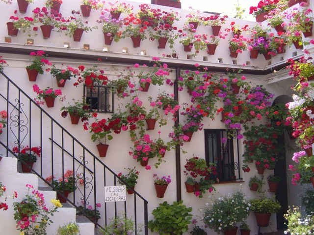 Patio in Cordoba, southern Spain