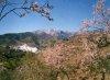 Tolox - in Almond blossom time, Andalucia, Spain.