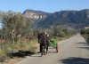 A peaceful, rural scene in Mallorca.