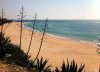 The beautiful beach at Canos de Meca, on Spain's Atlantic coast. 