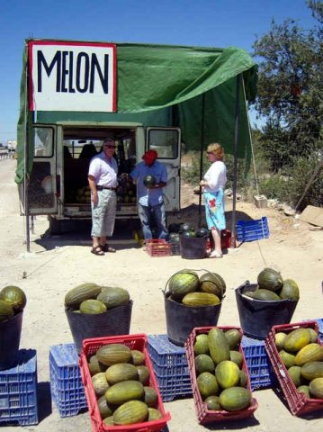 Tony buys a melon - at a roadside stall on the way to Madrid.