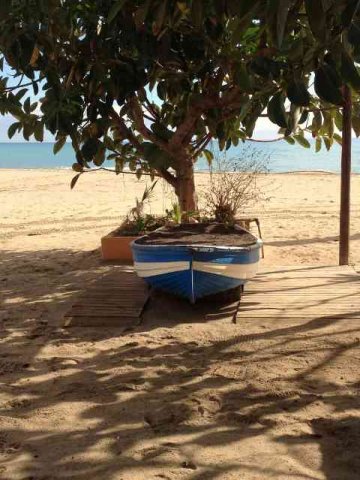 A lovely, early morning beach scene, in southern Spain.