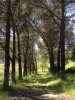 A favourite picnic spot, on the journey south into Andalucía.