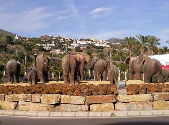 I don't know where they think they're going! Benalmadena, Spain.