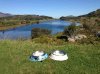 A dining-room with a view! Killarney, Ireland.