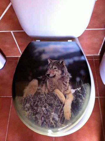 An unusual, but rather lovely, loo-seat lid! Seen in Málaga Spain.          