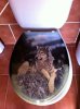 An unusual, but rather lovely, loo-seat lid! Seen in Málaga Spain.          